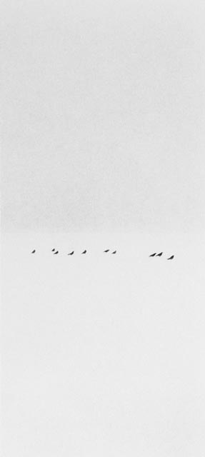  Michael Kenna