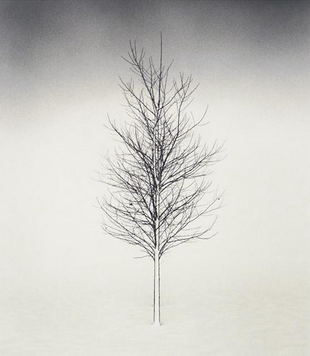  Michael Kenna