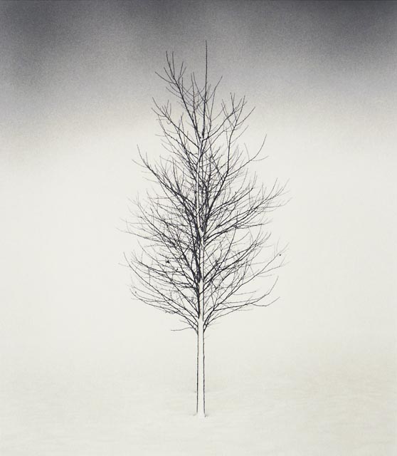  Michael Kenna