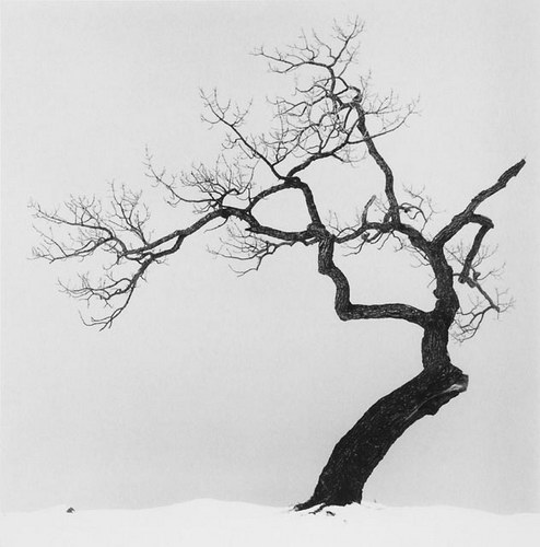  Michael Kenna