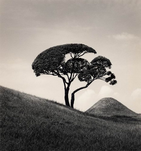  Michael Kenna