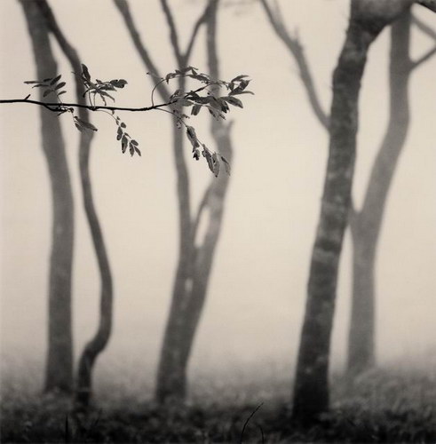  Michael Kenna