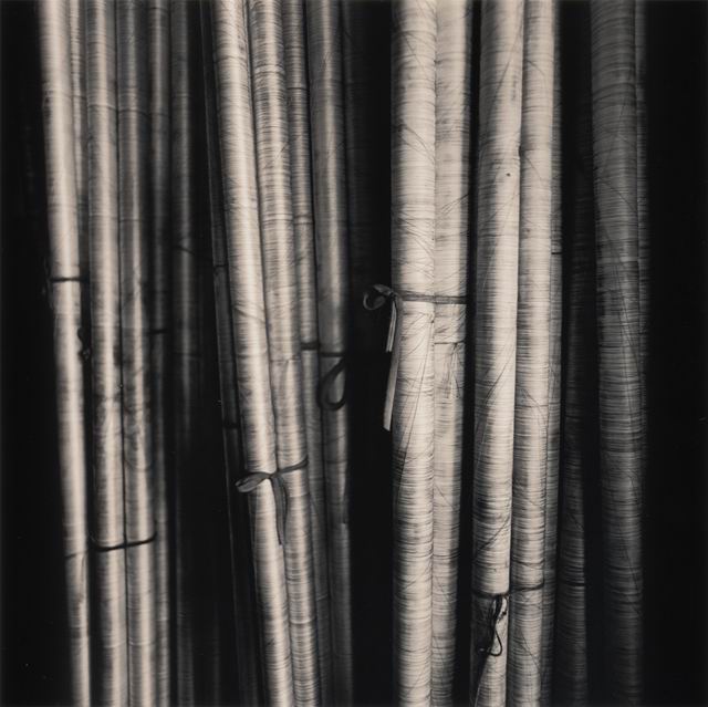  Michael Kenna