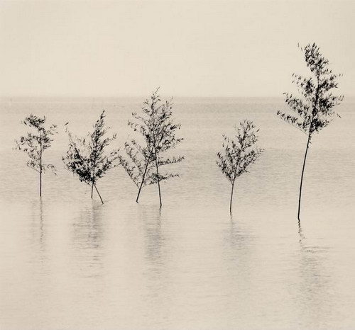 Michael Kenna