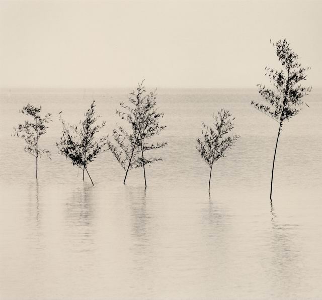  Michael Kenna