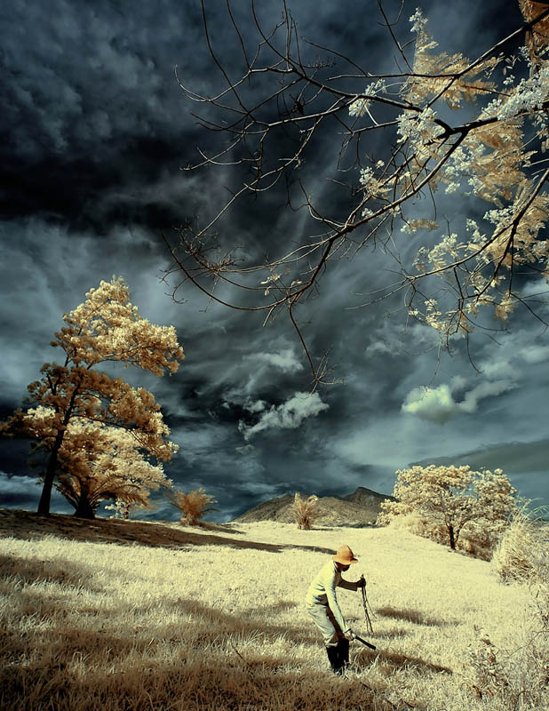  Musin Yohan