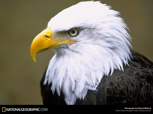 National Geographic