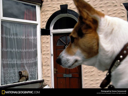 National Geographic