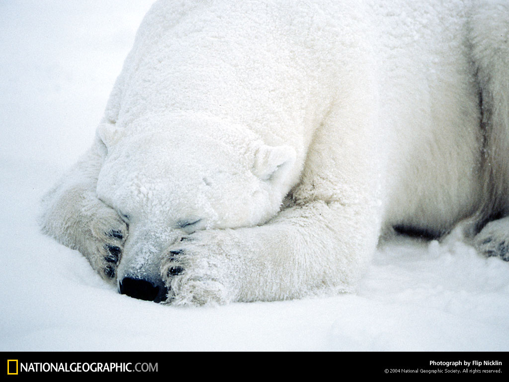 National Geographic