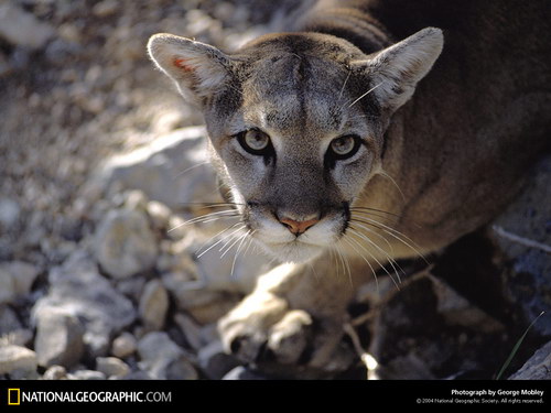 National Geographic