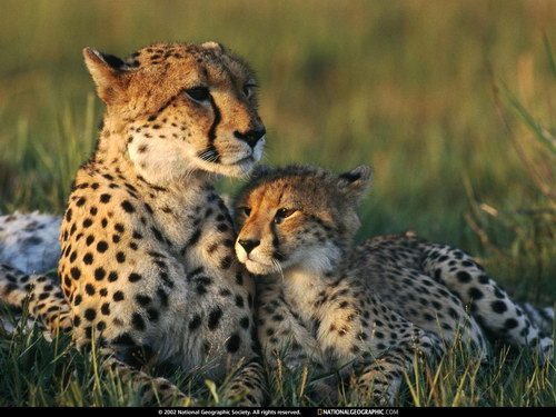 National Geographic