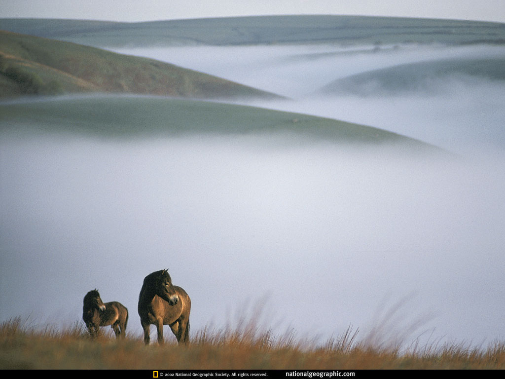 National Geographic