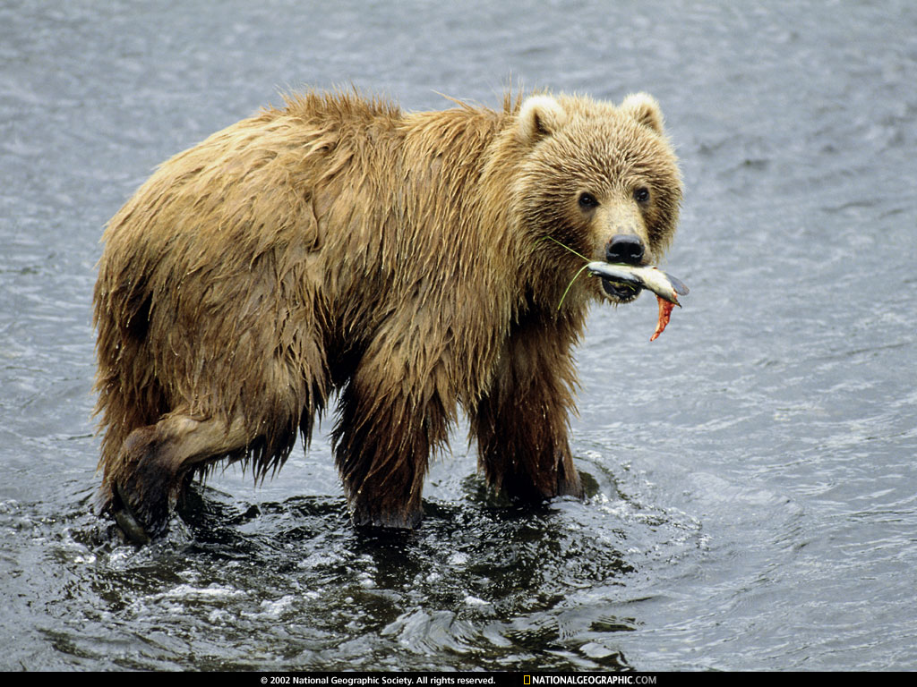 National Geographic