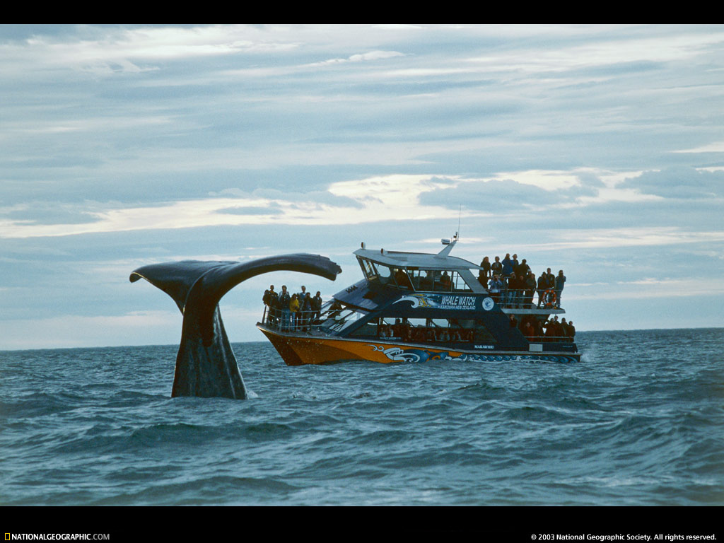 National Geographic
