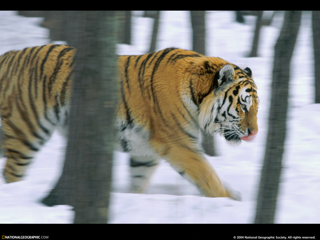 National Geographic