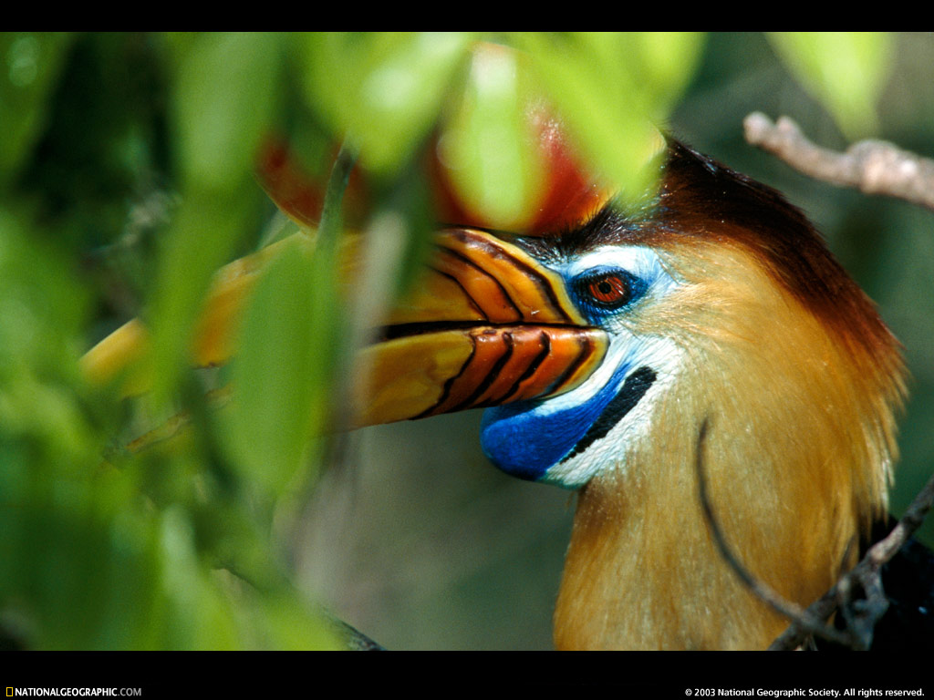 National Geographic