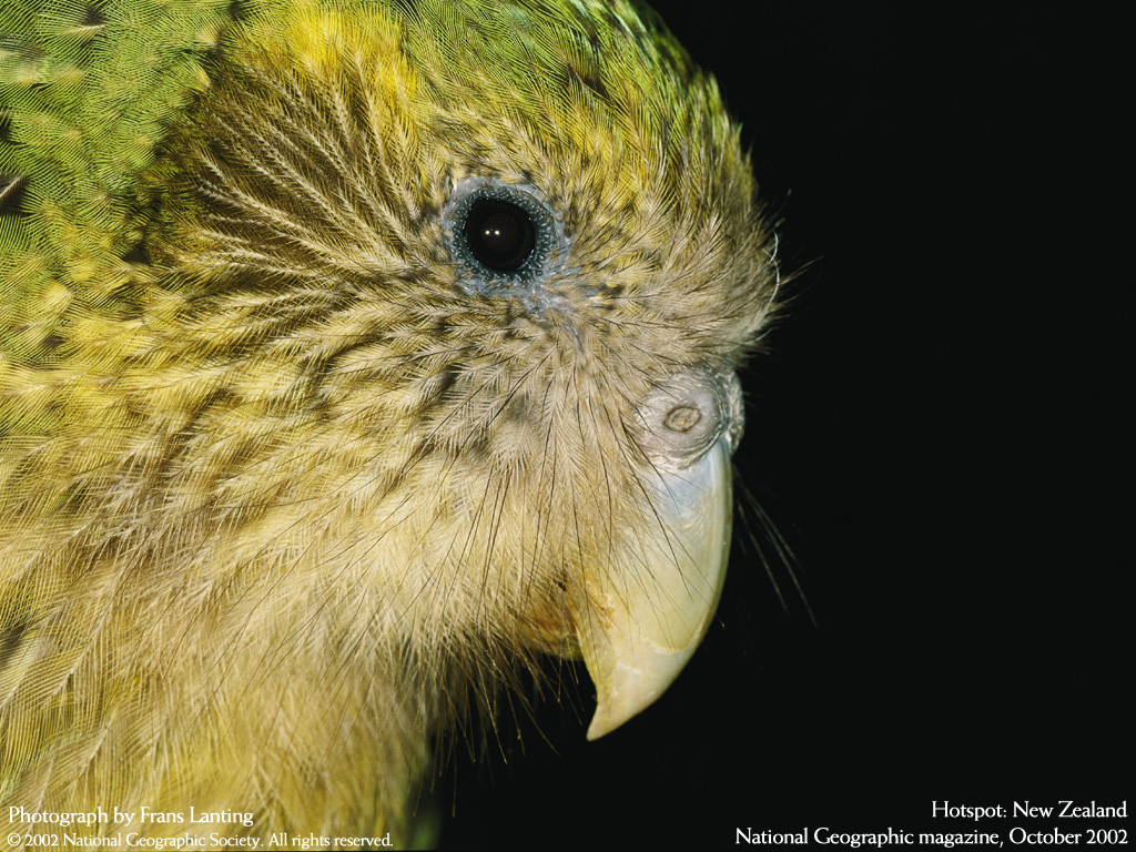 National Geographic