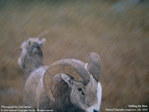 National Geographic