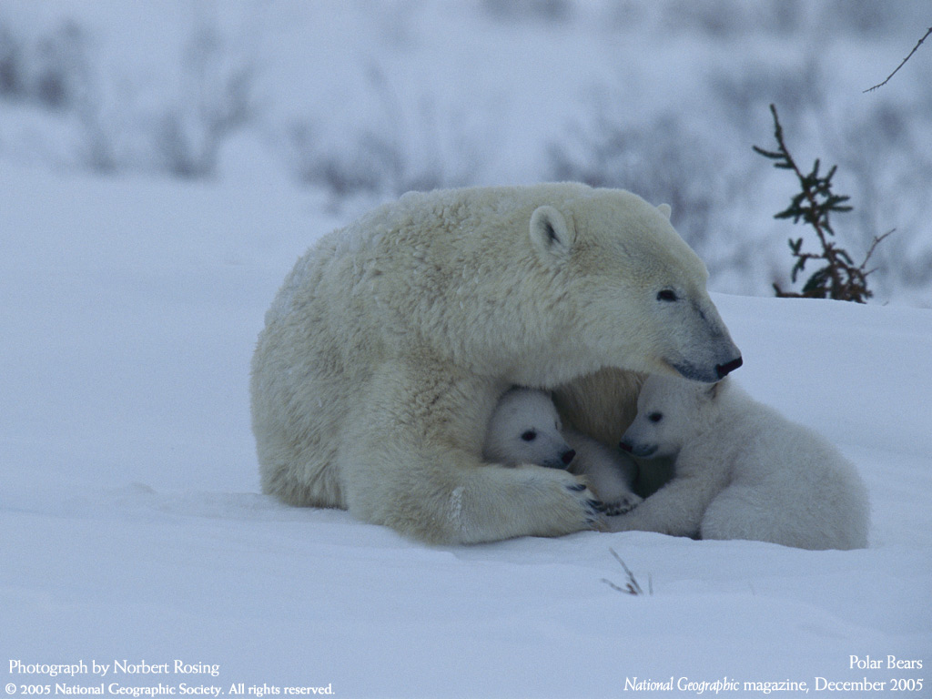 National Geographic