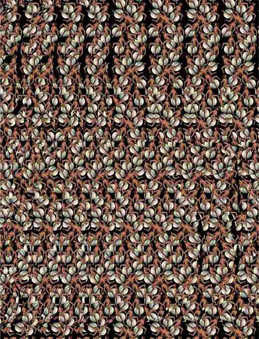 Magic eye