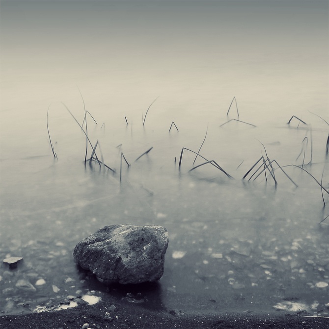 �������� ����������