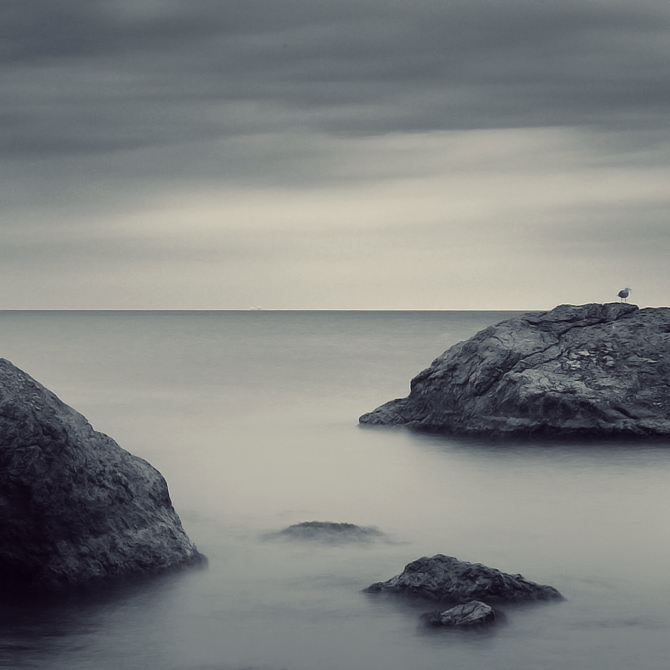 �������� ����������