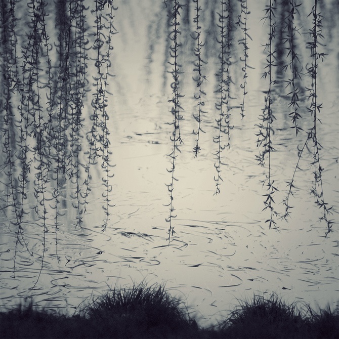 �������� ����������