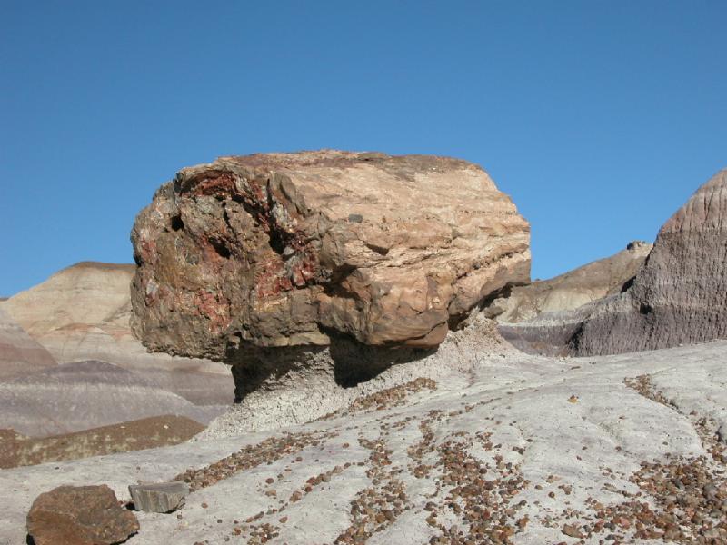   (Petrified forest)