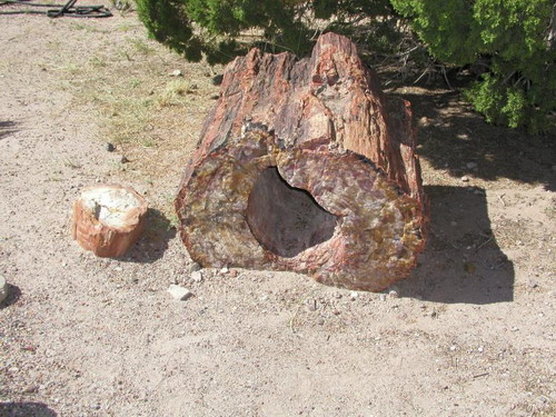   (Petrified forest)