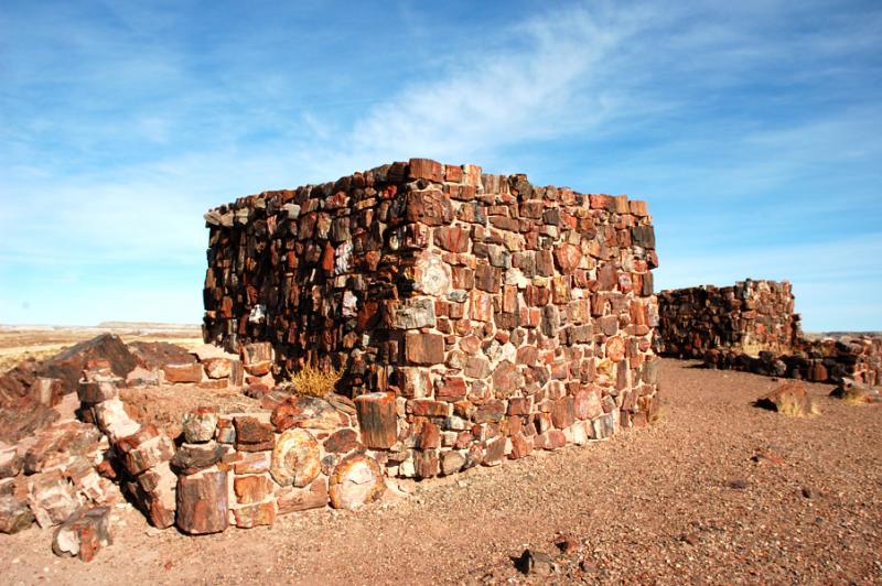   (Petrified forest)