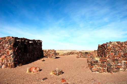   (Petrified forest)