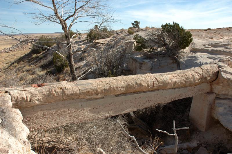   (Petrified forest)