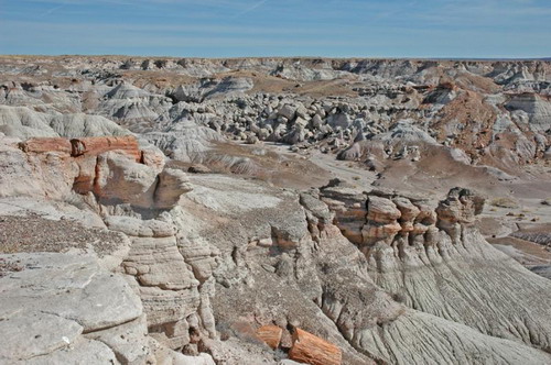   (Petrified forest)