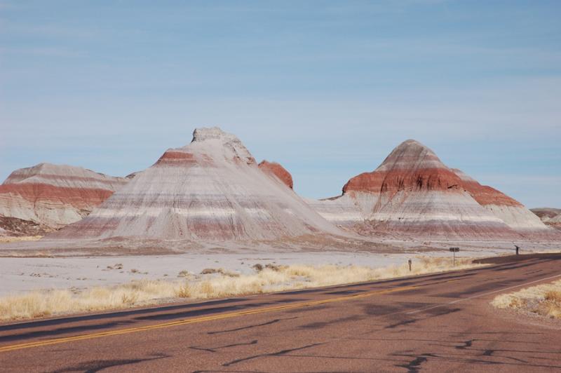   (Petrified forest)