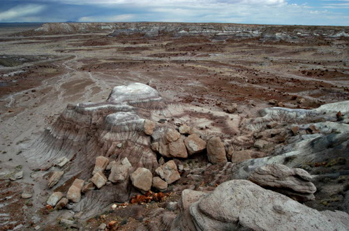   (Petrified forest)