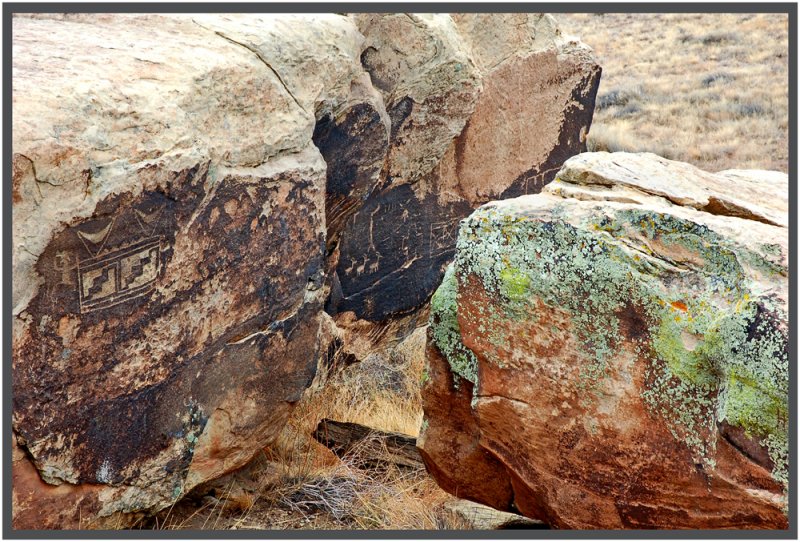   (Petrified forest)