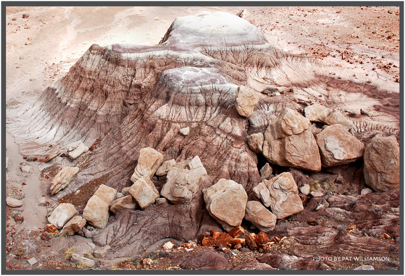   (Petrified forest)