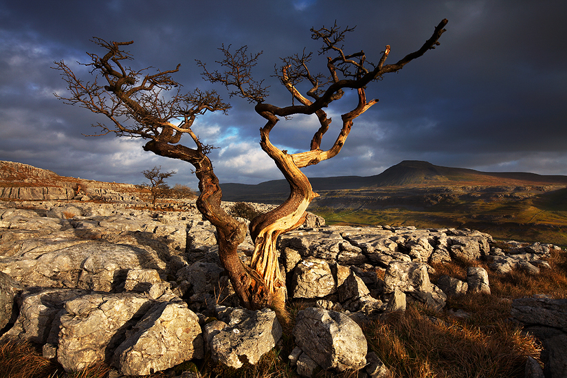  Simon Butterworth