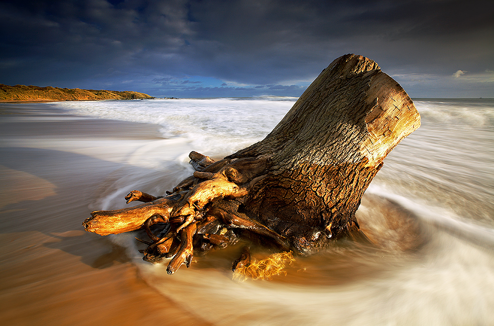  Simon Butterworth