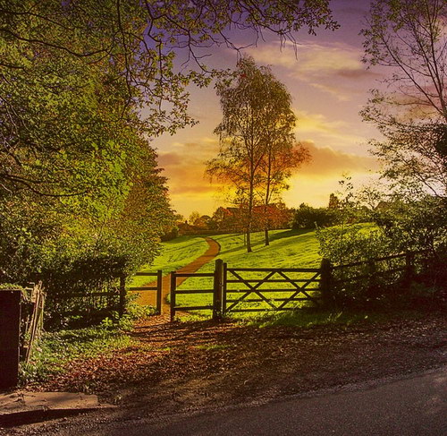  Steve Highfield