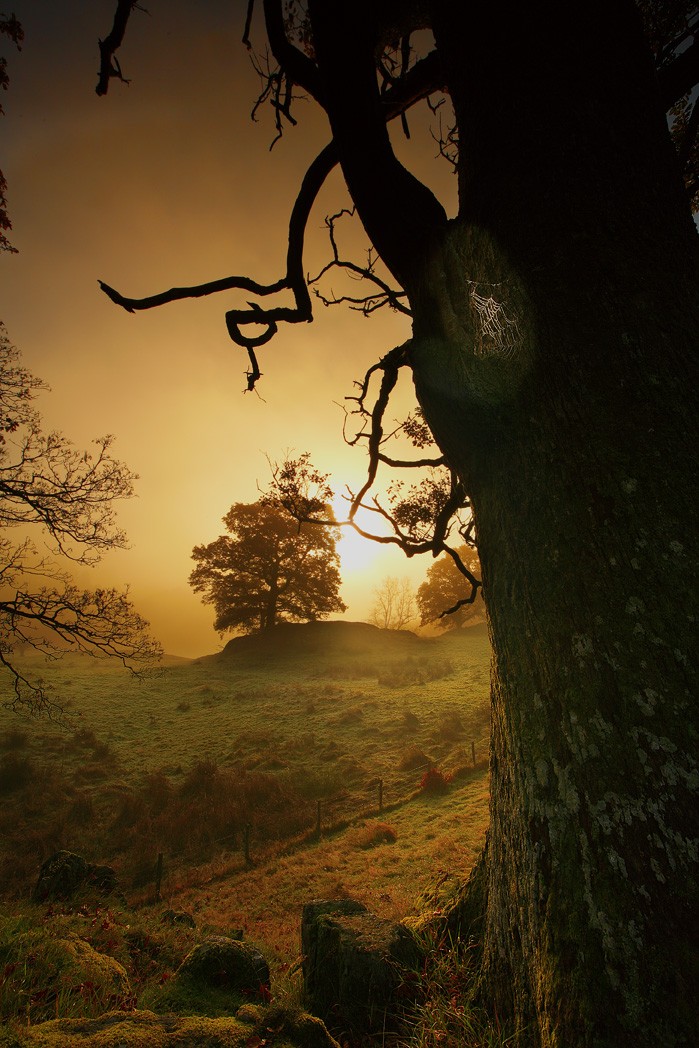  Steve Highfield