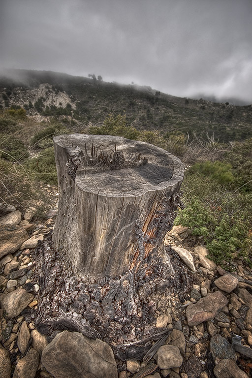   HDR