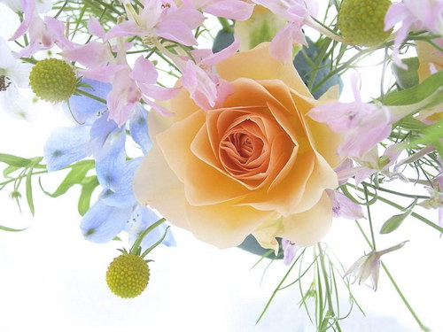 чайная роза в букете мелких цветов