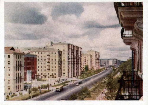  50- 