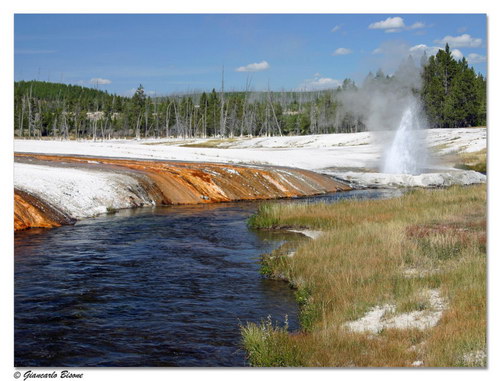   Yellowstone